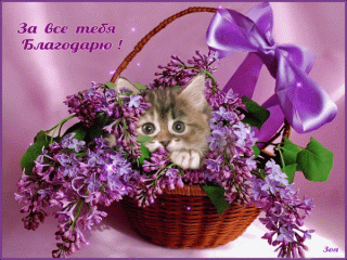 za-vse-tebya-blagodaryu