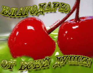 blagodaryu-ot-vsej-dushi
