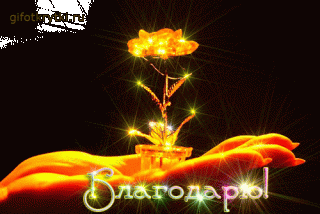 blagodaryu-krasivye-frazy-o-lyubvi