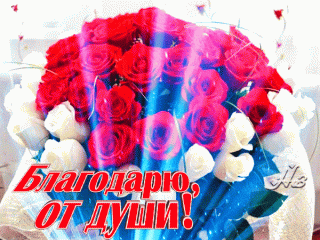 blagodaryu-ot-dushi