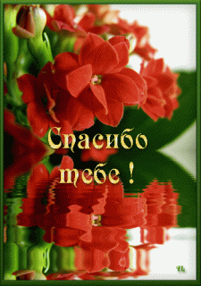 spasibo-tebe-blaииu-spasibo