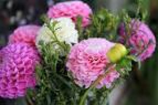 images-8