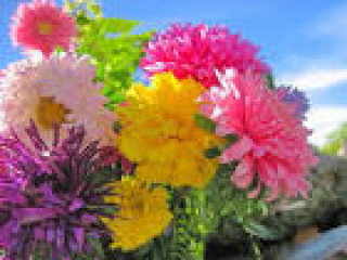 images-7