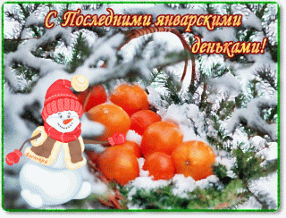 С-Последними-январскими-деньками