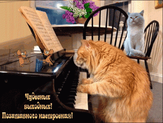 Чудесныхвыходных