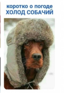 Screenshot_20210119_051558