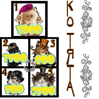 Foiz__Котята_3