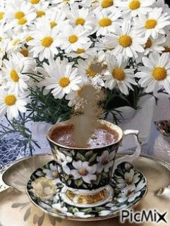 Ромашкикофе