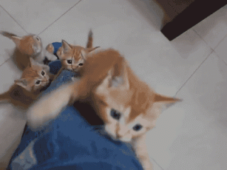 napadenie