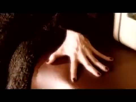 video-4db3c427aacc857bea08ce544d586b8b-V