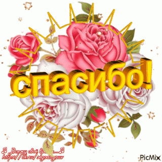 206269928751e82fa92bb3e7d4af97c3