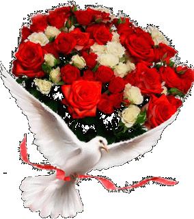 8e2e80ee2a2b76083d1856d91783d9e3