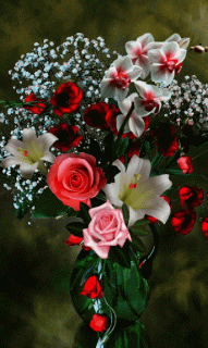 Цветы мигает