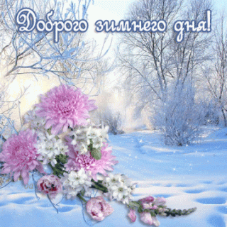 dobrogo-zimnego-dnya