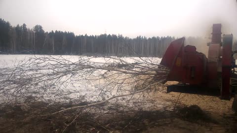 WP_20210119_010