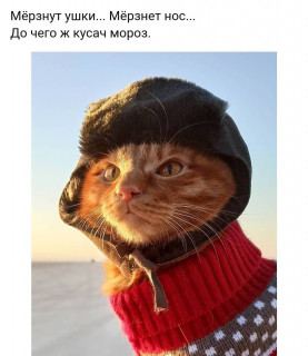 tatiana_4834-___CKWi0edjf9q___-
