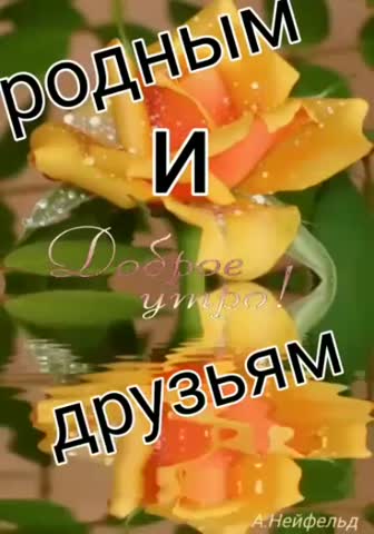 VID-20210123-WA0003