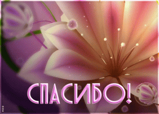 krasivaya-otkrytka-spasibo-540