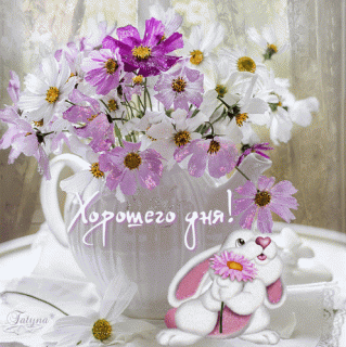 Хорошегодня