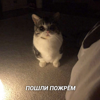 1579ED20-CF36-4AFC-9A02-58E706DFB41B