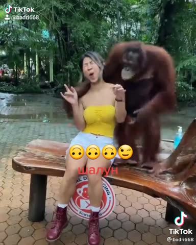 гиббон-шалун