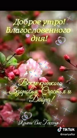 С_добрым__прекрасным_утром