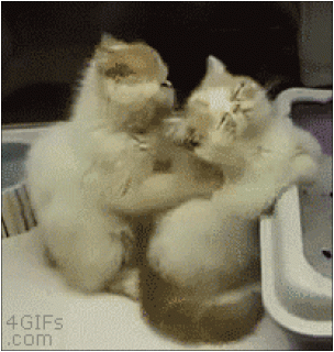 Кошачий массаж