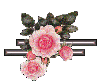 rosen_trennbalken_fuer_gb_bilder_1_gb-dream_de