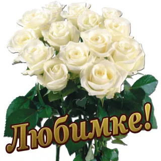 Любимке