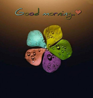good_morning_pics-___CKFgeAkhV8o___-