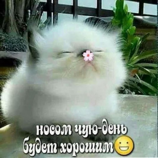 ed67559d1c16c70ffb942d50f62cf583