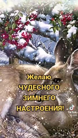 Желаю_Зимнего_настроения