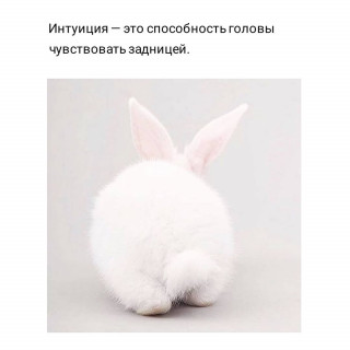 moimir_j-___CKilBsVnOho___-