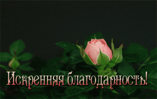 iskrennyaya-blagodarnost
