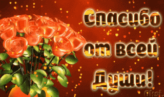 spasibo-ot-vsej-dushi