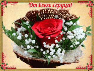 От всего сердца