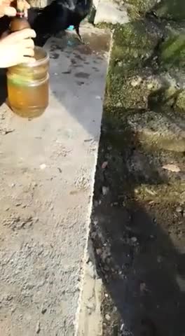 file_2019-05-01_23-14-51