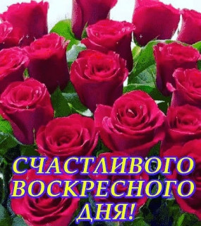 ianygi-___CKtDEbZFFVx___-