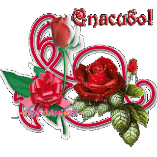 Спасибо розы