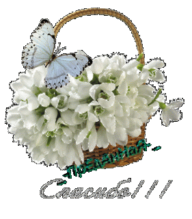 Спасибо цв с бабочкой