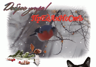 Доброе утро ср