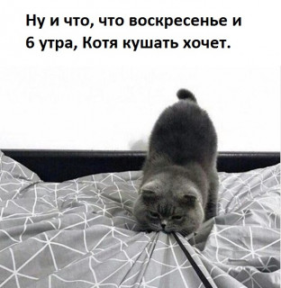 Tv_Xn3Y1mXU