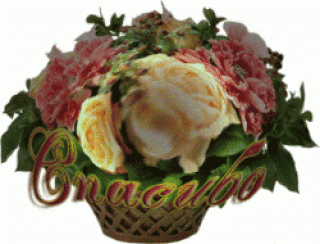 bloggif_6019727503aa5