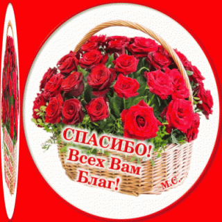 bloggif_60197230ed801