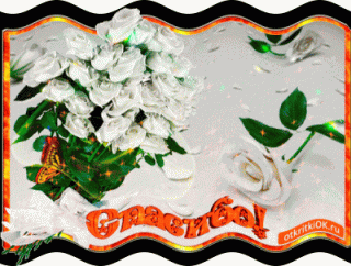 bloggif_60197206f1896