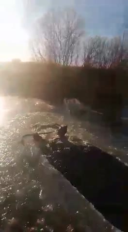 video-02d47423fa93056e4d5a64c408668acc-V