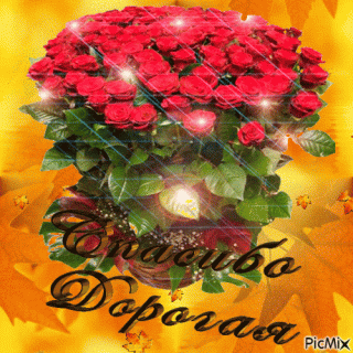 Foiz__Спасибо_дорогая