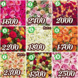 bloggif_6019a429d6b41