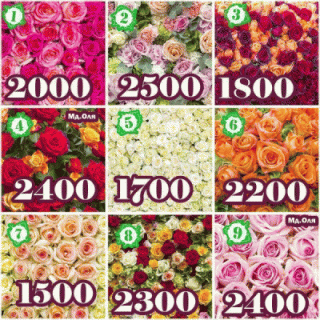 bloggif_6019a48910eee