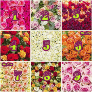 bloggif_6019a4584ab09